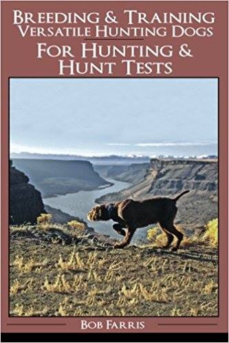 Breeding & Training Versatile Hunting Dogs